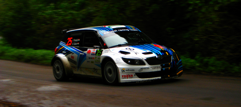 Illustration for article titled Drifts, Shoots and Leaves - Rallying on the Mountain Road